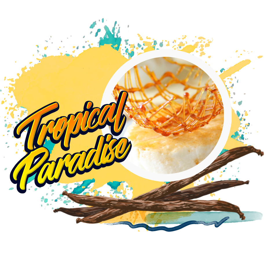 California Scents Vanilla Paradise Vial